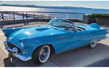 Ford-Thunderbird-1956-Peacock-Blue-WhiteBlack-17