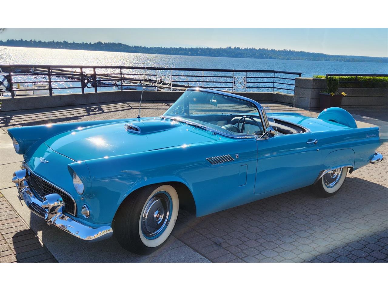 Ford-Thunderbird-1956-Peacock-Blue-WhiteBlack-17