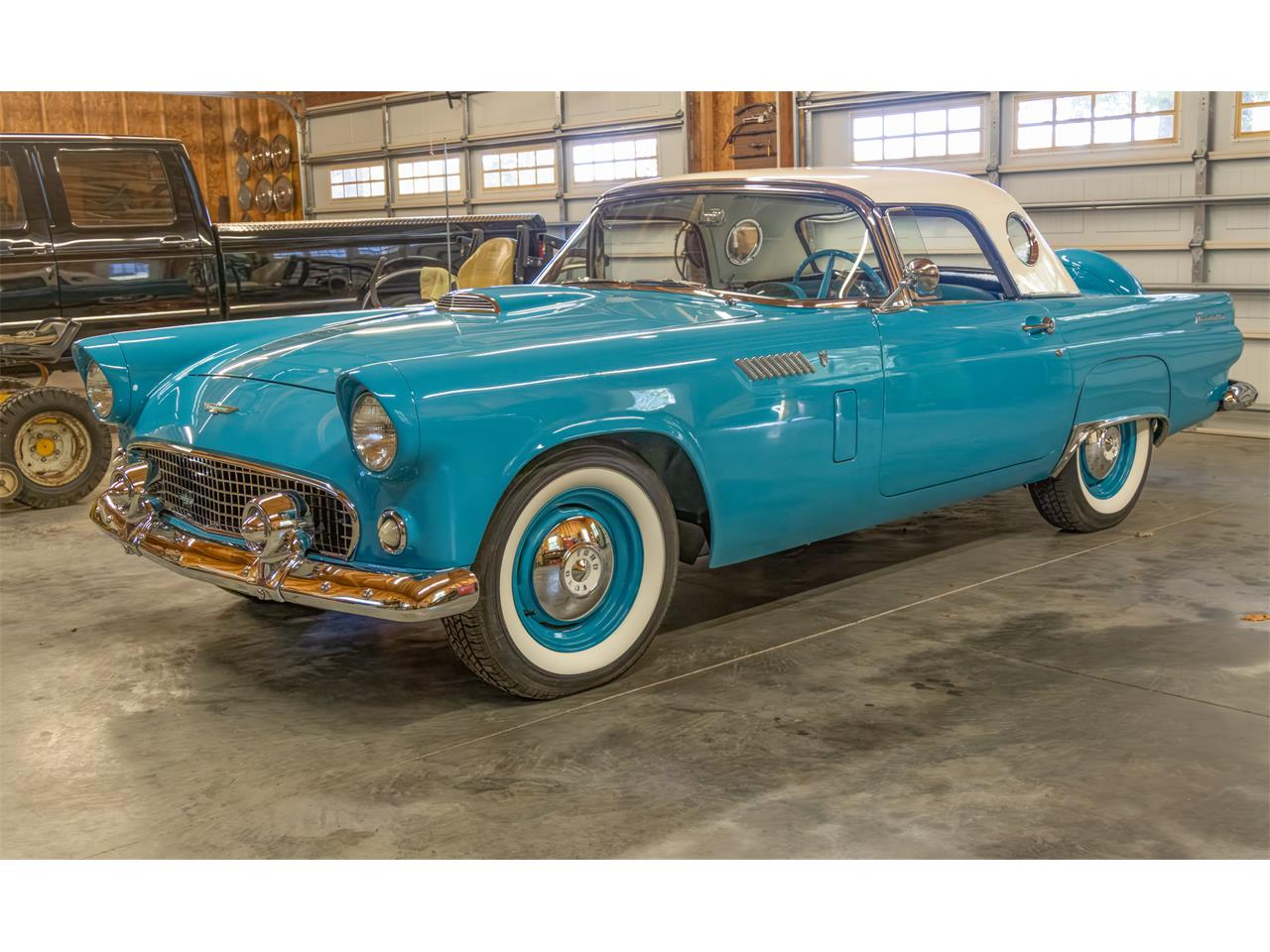 Ford-Thunderbird-1956-Peacock-Blue-Whitepeacock-blue-1