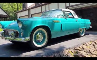 Ford-Thunderbird-1956-Peacock-Blue-Whitepeacock-blue
