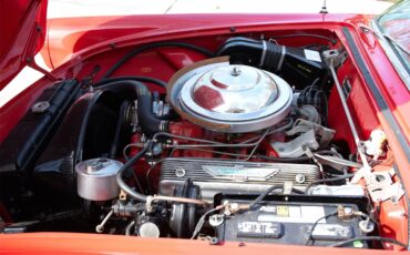 Ford-Thunderbird-1956-Red-Red-12