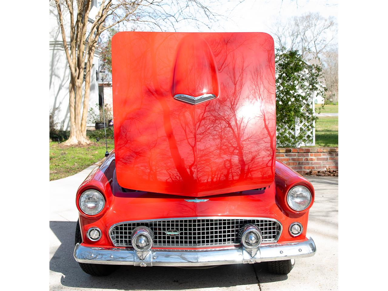 Ford-Thunderbird-1956-Red-Red-8