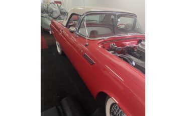 Ford-Thunderbird-1956-Red-with-white-top-Red-amp-White-7