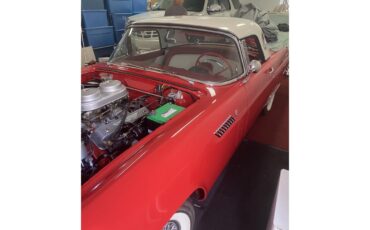 Ford-Thunderbird-1956-Red-with-white-top-Red-amp-White-9