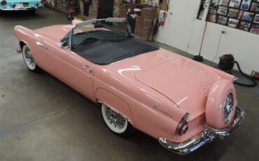 Ford-Thunderbird-1956-Sunset-Coral-BlackWhite-2