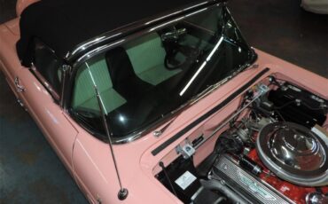 Ford-Thunderbird-1956-Sunset-Coral-BlackWhite-7