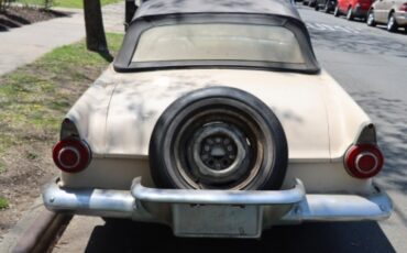Ford-Thunderbird-1956-White-white-3