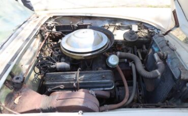 Ford-Thunderbird-1956-White-white-5