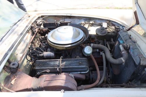 Ford-Thunderbird-1956-White-white-5