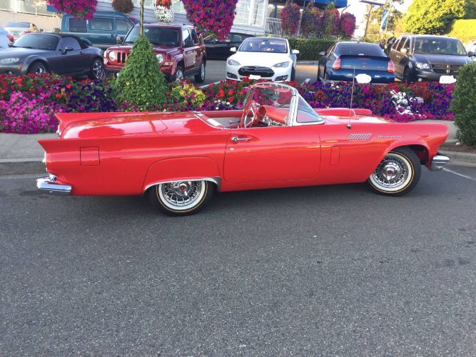 Ford-Thunderbird-1957-1