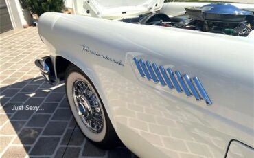 Ford-Thunderbird-1957-Colonial-White-Navy-Blue-29