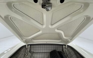 Ford-Thunderbird-1957-Colonial-White-Raven-Black-42