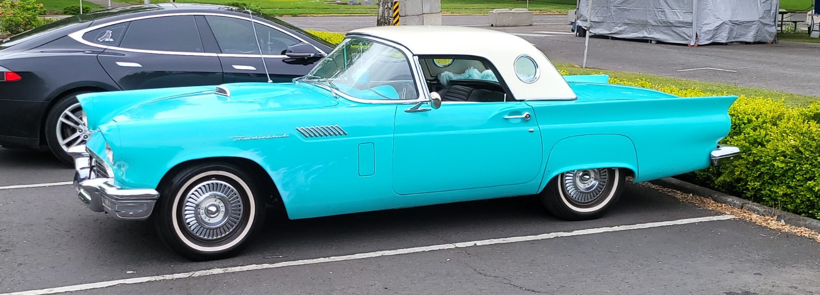 Ford-Thunderbird-1957-Convertible-12