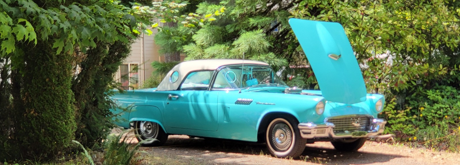 Ford-Thunderbird-1957-Convertible-8