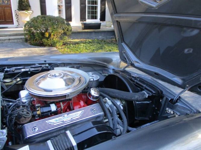 Ford-Thunderbird-1957-Gray-Red-9