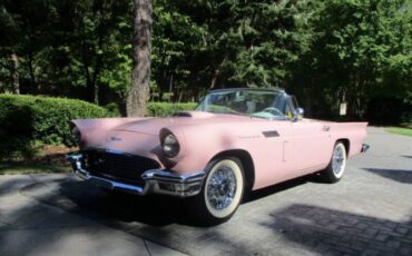 Ford-Thunderbird-1957-Pink-White-27