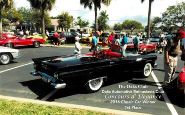 Ford-Thunderbird-1957-Raven-Black-Red-18