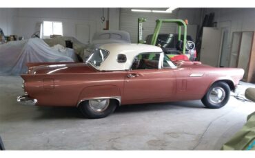 Ford-Thunderbird-1957-Rose-Rose-2