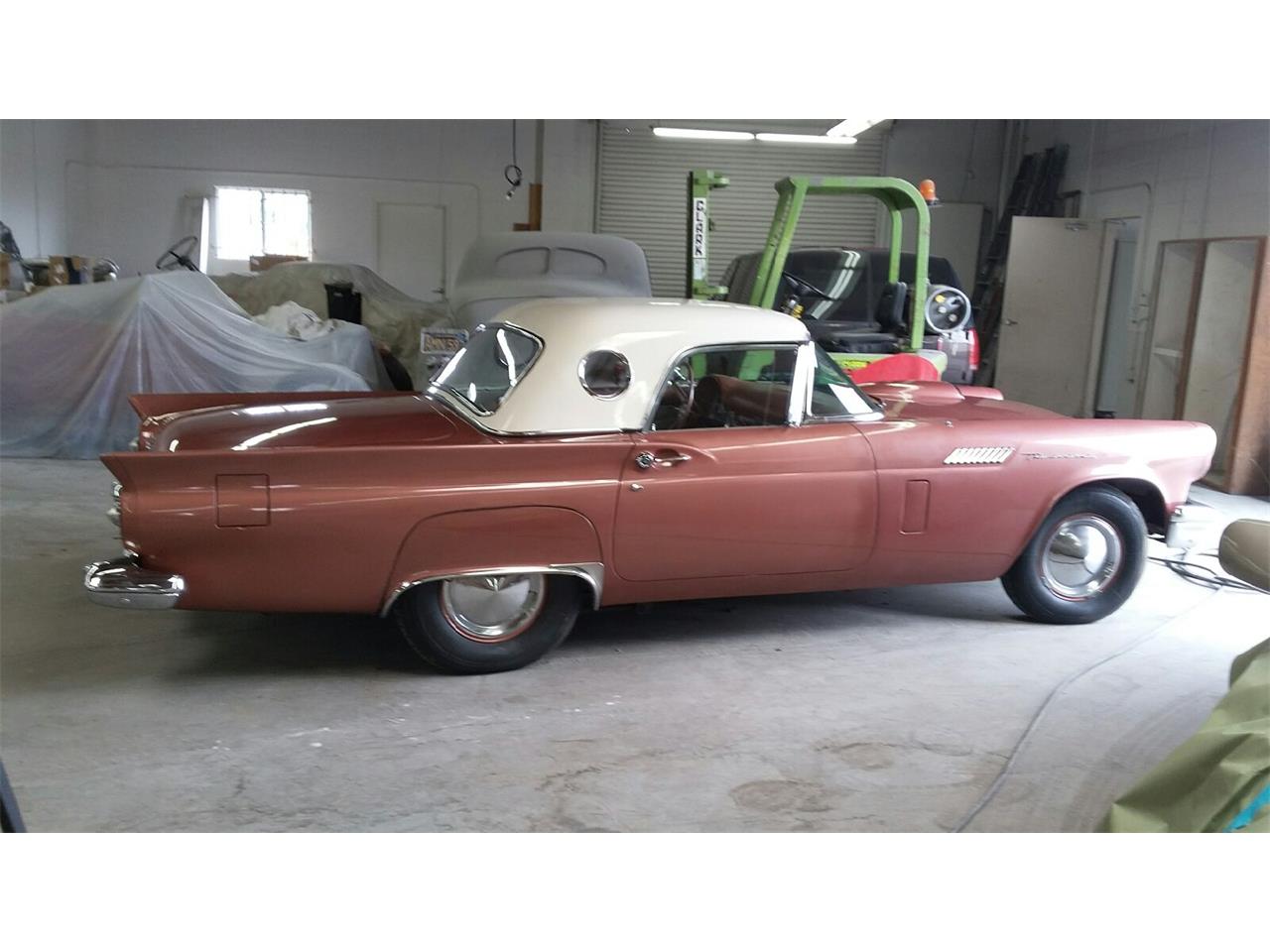 Ford-Thunderbird-1957-Rose-Rose-2