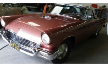 Ford-Thunderbird-1957-Rose-Rose-3