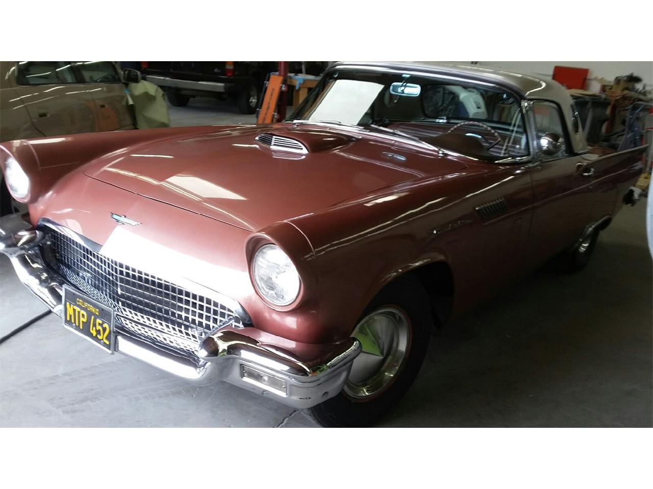 Ford-Thunderbird-1957-Rose-Rose-3