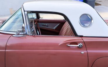 Ford-Thunderbird-1957-Rose-Rose-4