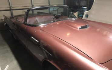 Ford-Thunderbird-1957-Rose-Rose-5