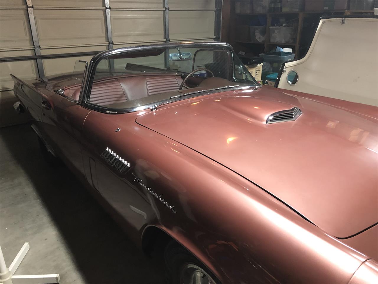 Ford-Thunderbird-1957-Rose-Rose-5