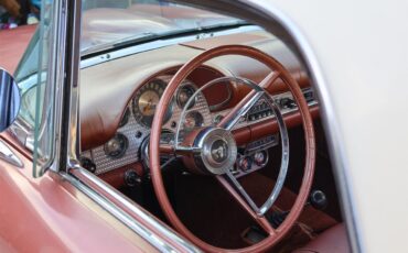 Ford-Thunderbird-1957-Rose-Rose-6