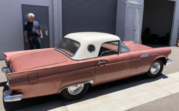 Ford-Thunderbird-1957-Rose-Rose-9