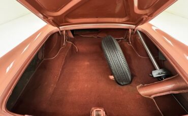 Ford-Thunderbird-1957-Thunderbird-Bronze-Bronze-2