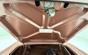 Ford-Thunderbird-1957-Thunderbird-Bronze-Bronze-33