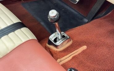 Ford-Thunderbird-1957-Thunderbird-Bronze-Bronze-43