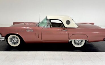 Ford-Thunderbird-1957-Thunderbird-Bronze-Bronze-9