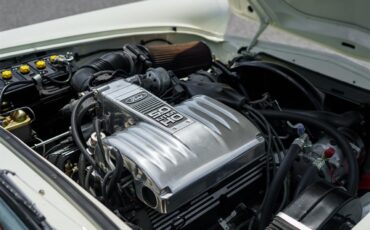 Ford-Thunderbird-1957-White-Red-18