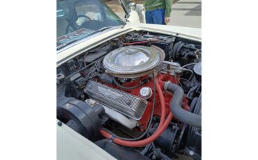 Ford-Thunderbird-1957-colonial-white-blackwhite-4