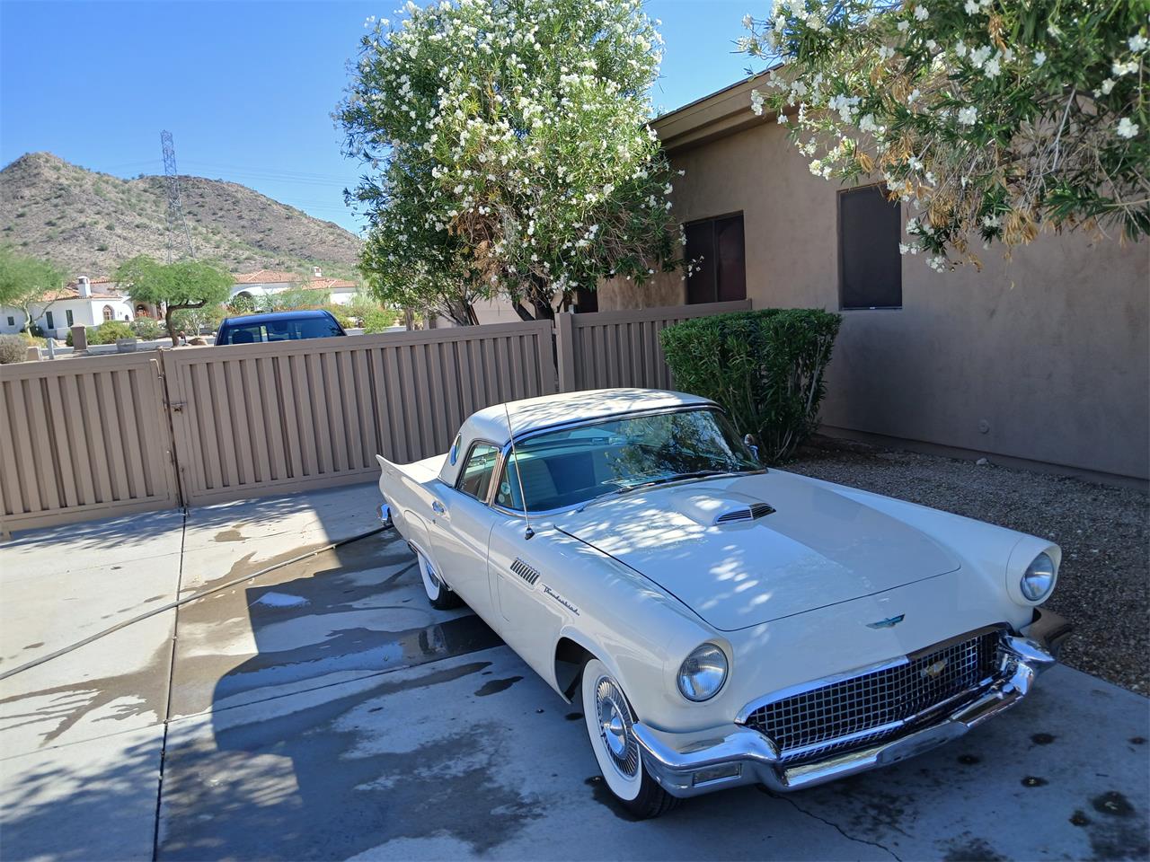 Ford-Thunderbird-1957-colonial-white-blackwhite-7