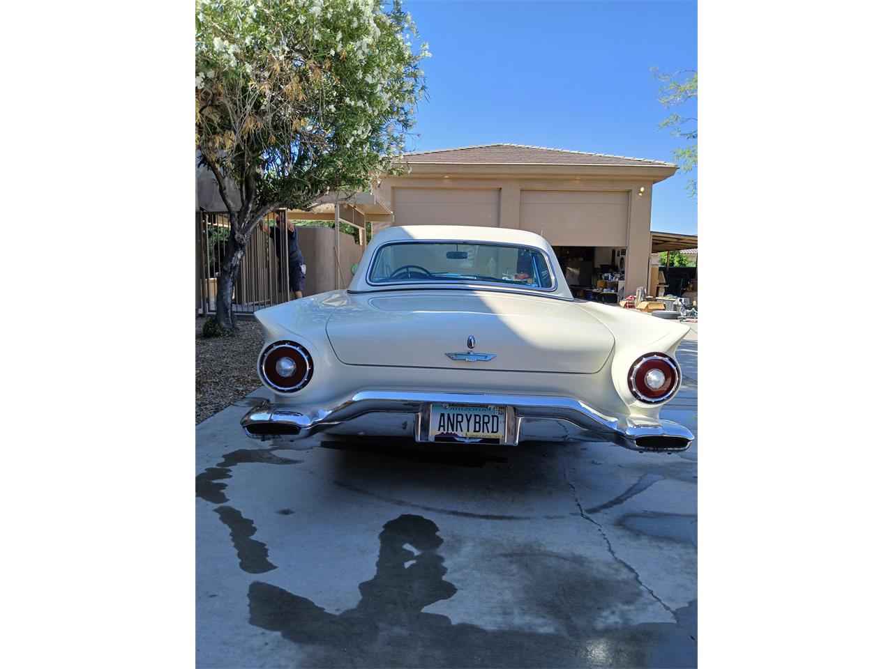 Ford-Thunderbird-1957-colonial-white-blackwhite-8
