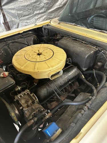 Ford-Thunderbird-1959-Custom-5