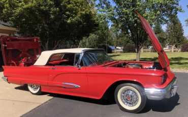 Ford-Thunderbird-1959-Red-Red-and-White-1