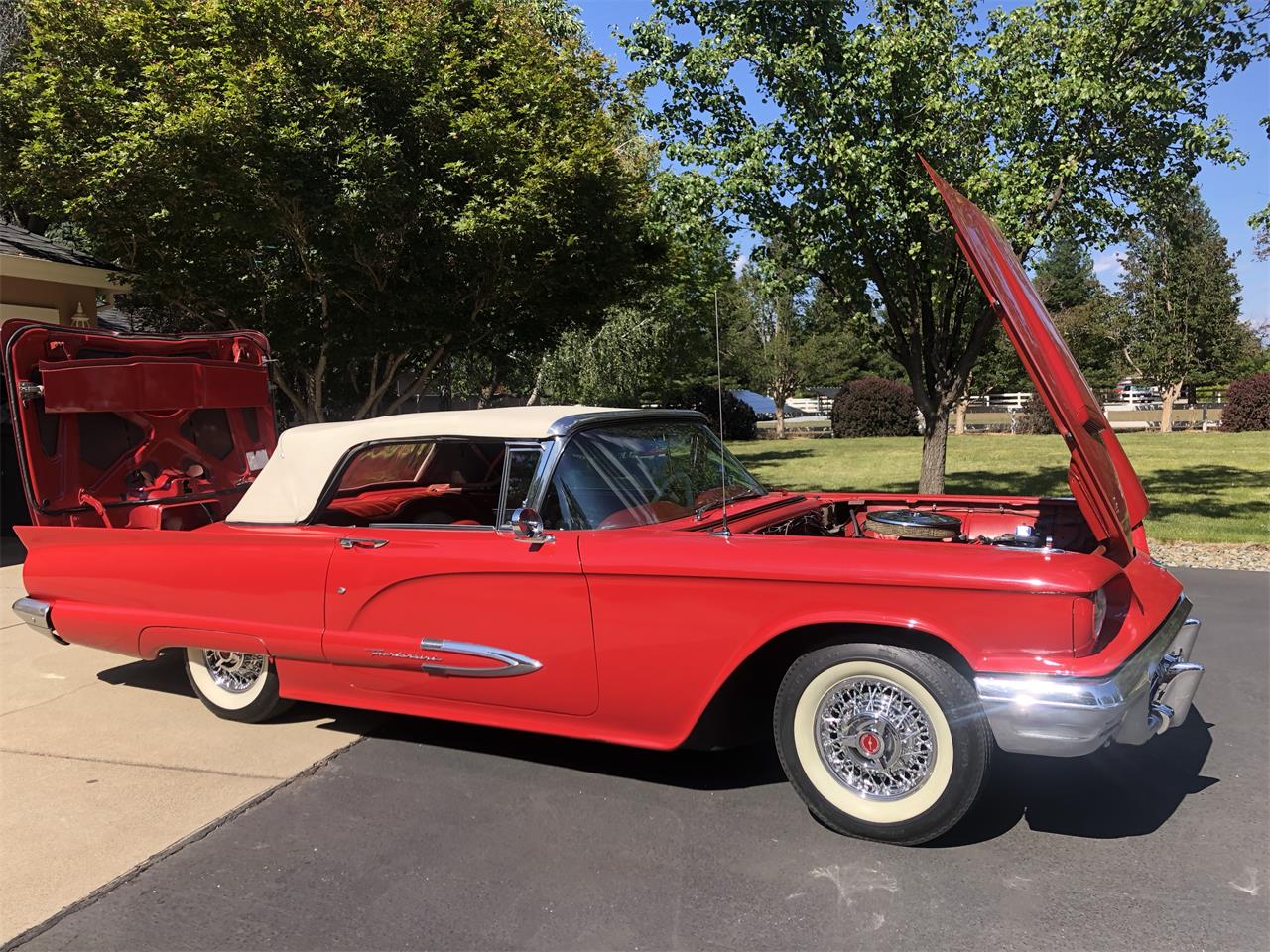 Ford-Thunderbird-1959-Red-Red-and-White-1