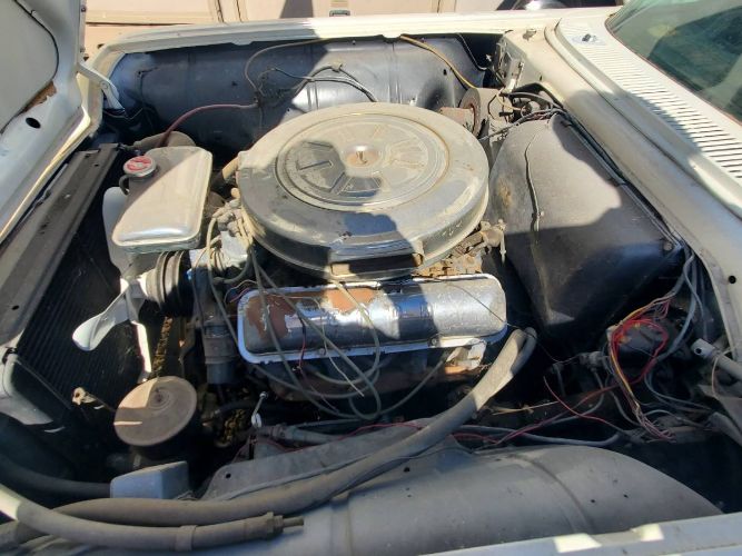 Ford-Thunderbird-1959-White-4