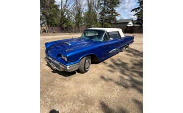 Ford-Thunderbird-1959-blue-white-1