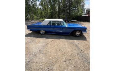 Ford-Thunderbird-1959-blue-white-3
