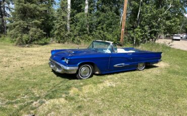 Ford-Thunderbird-1959-blue-white