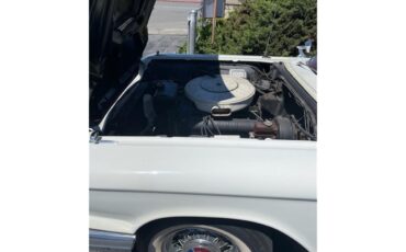 Ford-Thunderbird-1960-White-Red-4