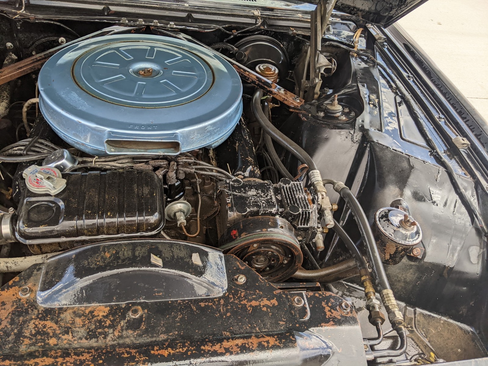 Ford-Thunderbird-1961-Coupe-10