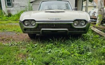 Ford-Thunderbird-1961-White