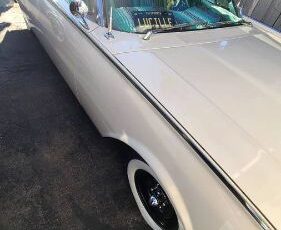 Ford-Thunderbird-1961-White-8
