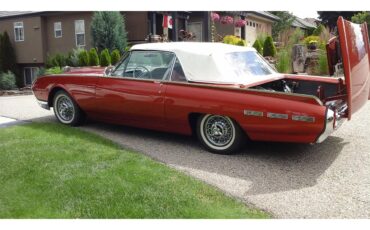 Ford-Thunderbird-1962-Chestnut-Pearlescent-Beige-15